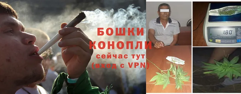 где продают   Горячий Ключ  Шишки марихуана OG Kush 